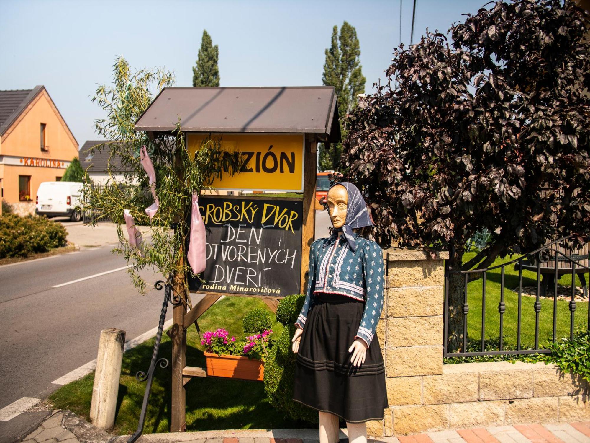 Penzion Grobsky Dvor Slovensky Grob Luaran gambar